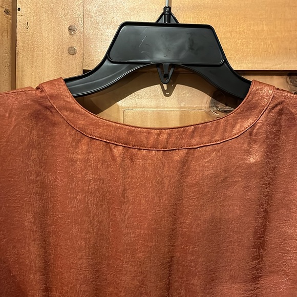 Vintage Charm - Super cute for fall - crushed satin long dress rust size large - Picture 6 of 6